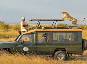 12 Days 11 Nights Tsavo West Tsavo East Taita Hills Amboseli Aberdare Nakuru Naivasha Masai Mara Safari Package 1