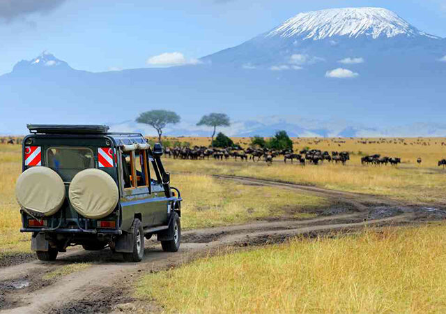 2 Days 1 Night Amboseli Safari Package 1