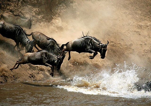 3 Days 2 Nights Masai Mara Safari Package 1