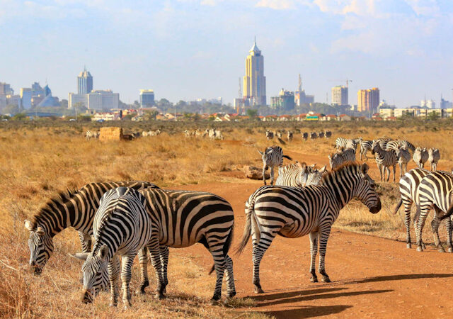 5-Day Nairobi National Park, Samburu & Lake Nakuru Midrange Safari 1
