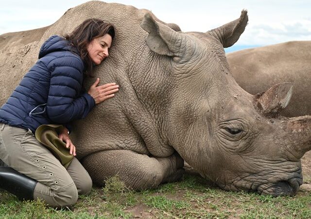 5-Day Ol Pejeta, Lake Nakuru & Masai Mara Luxury Safari 1