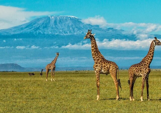 5-Day Tsavo East, Taita Hills & Amboseli Game Safari 1