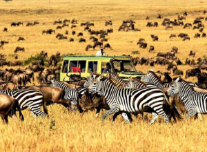 5 Days 4 Nights Lake Manyara Ngorongoro Crater Tarangire Safari Pacakage 1
