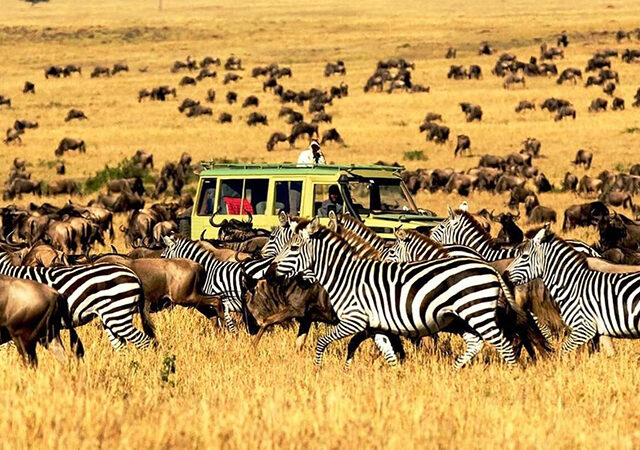 5 Days 4 Nights Lake Manyara Ngorongoro Crater Tarangire Safari Pacakage 1