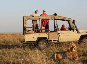 6 Days Masai Mara Lake Nakuru Amboseli Luxury Camping Safari 1