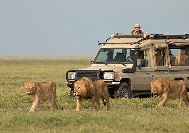 7 Days Combined Kenya Tanzania Camping Safari 1