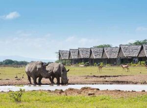 8 Days 7 Nights Aberdares Samburu Sweet Water Lake Nakuru Masai Mara Safari Package 1