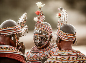 8 Days 7 Nights Amboseli Nairobi Samburu Aberdares Lake Nakuru Masai Mara Safari Package 1