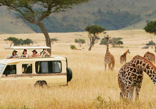 8 Days Lake Nakuru Amboseli Lake Manyara Serengeti Ngorongoro Crater Safari 1