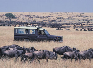 8 Days Tsavo East Tsavo West Amboseli Lake Naivasha Masai Mara Luxury Safari 1