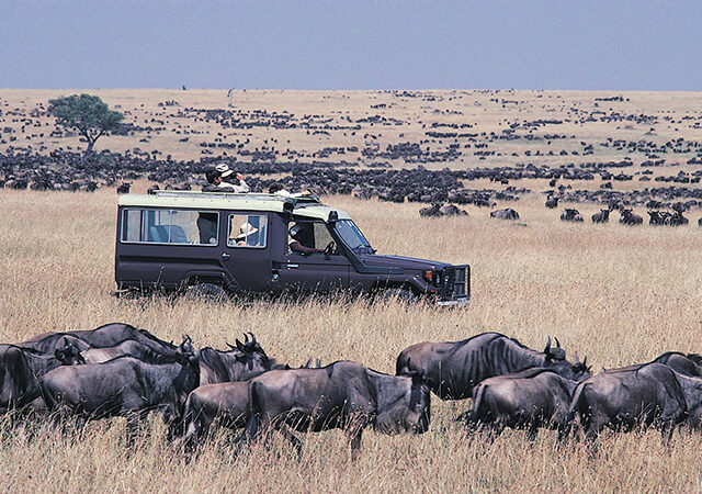 8 Days Tsavo East Tsavo West Amboseli Lake Naivasha Masai Mara Luxury Safari 1